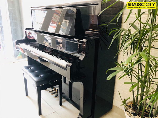 Music City – Tổng Kho Piano, Guitar, Organ | Dịch Vụ Giáo Dục Âm Nhạc