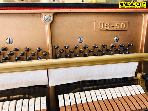 Music City – Tổng Kho Piano, Guitar, Organ | Dịch Vụ Giáo Dục Âm Nhạc