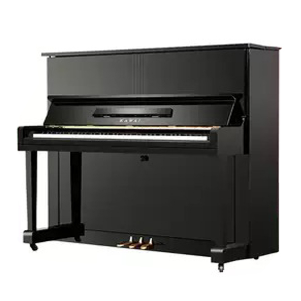 Music City – Tổng Kho Piano, Guitar, Organ | Dịch Vụ Giáo Dục Âm Nhạc