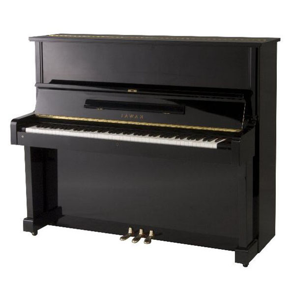 Music City – Tổng Kho Piano, Guitar, Organ | Dịch Vụ Giáo Dục Âm Nhạc
