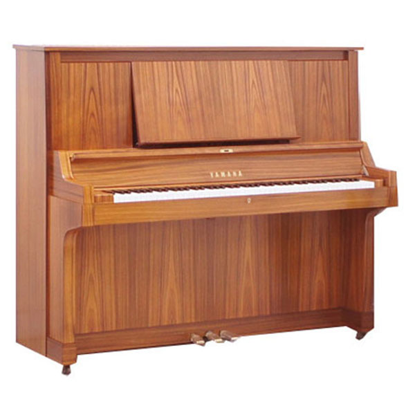 Music City – Tổng Kho Piano, Guitar, Organ | Dịch Vụ Giáo Dục Âm Nhạc