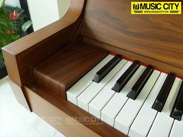 Music City – Tổng Kho Piano, Guitar, Organ | Dịch Vụ Giáo Dục Âm Nhạc