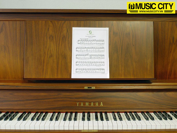 Music City – Tổng Kho Piano, Guitar, Organ | Dịch Vụ Giáo Dục Âm Nhạc