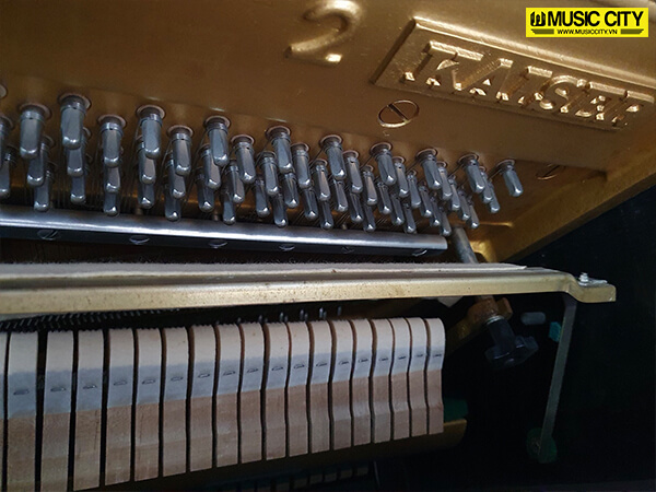 Music City – Tổng Kho Piano, Guitar, Organ | Dịch Vụ Giáo Dục Âm Nhạc