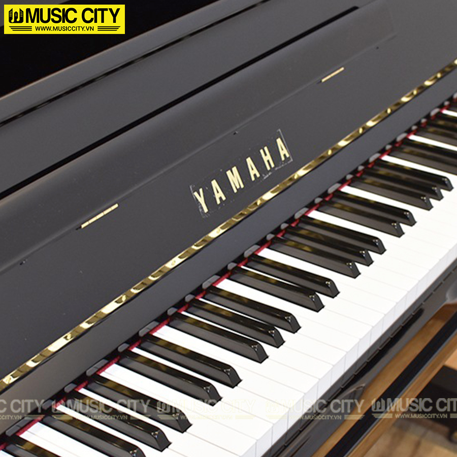 Music City – Tổng Kho Piano, Guitar, Organ | Dịch Vụ Giáo Dục Âm Nhạc