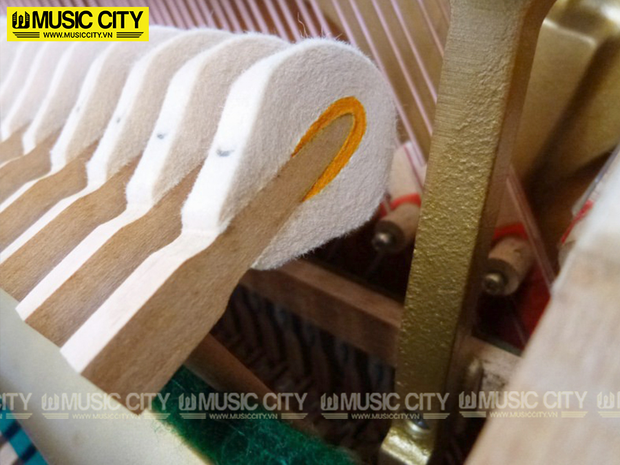Music City – Tổng Kho Piano, Guitar, Organ | Dịch Vụ Giáo Dục Âm Nhạc