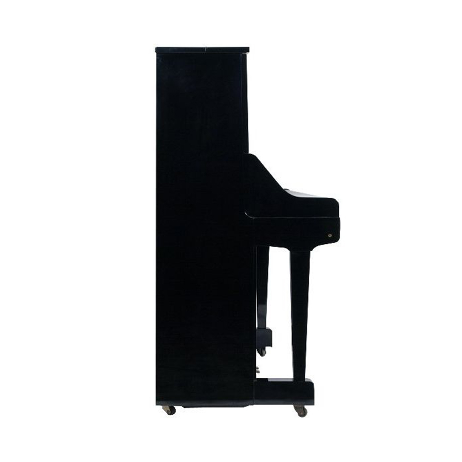 Music City – Tổng Kho Piano, Guitar, Organ | Dịch Vụ Giáo Dục Âm Nhạc