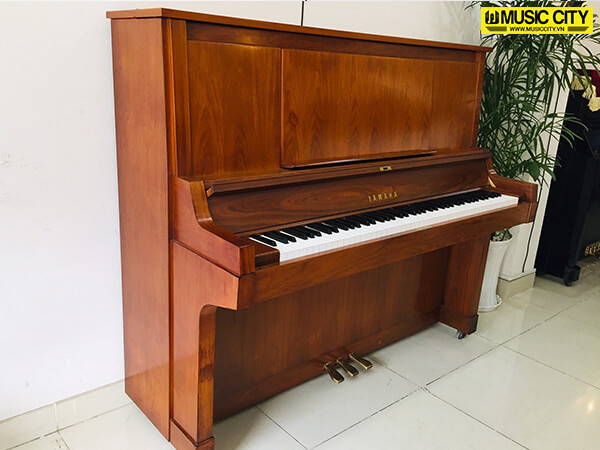Music City – Tổng Kho Piano, Guitar, Organ | Dịch Vụ Giáo Dục Âm Nhạc