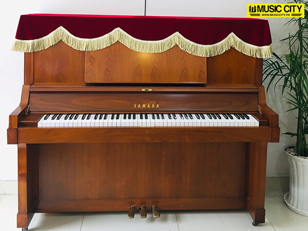 Music City – Tổng Kho Piano, Guitar, Organ | Dịch Vụ Giáo Dục Âm Nhạc