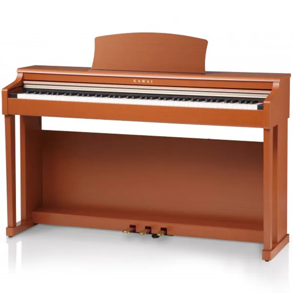 Music City – Tổng Kho Piano, Guitar, Organ | Dịch Vụ Giáo Dục Âm Nhạc