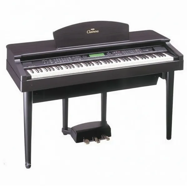 Music City – Tổng Kho Piano, Guitar, Organ | Dịch Vụ Giáo Dục Âm Nhạc