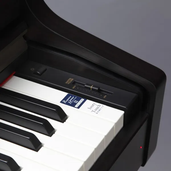 Music City – Tổng Kho Piano, Guitar, Organ | Dịch Vụ Giáo Dục Âm Nhạc
