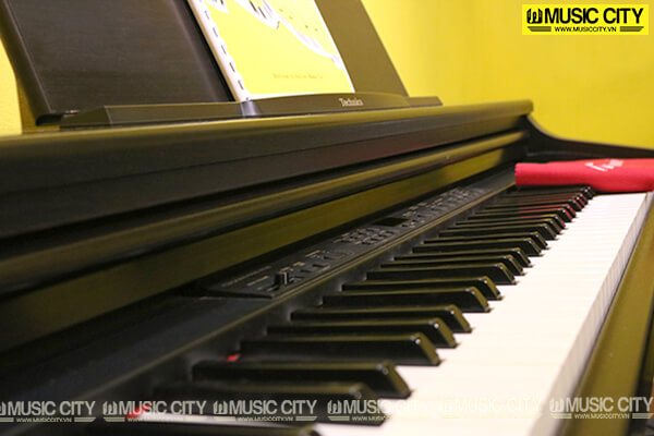 Music City – Tổng Kho Piano, Guitar, Organ | Dịch Vụ Giáo Dục Âm Nhạc