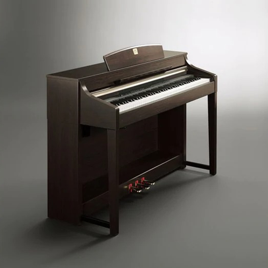 Music City – Tổng Kho Piano, Guitar, Organ | Dịch Vụ Giáo Dục Âm Nhạc