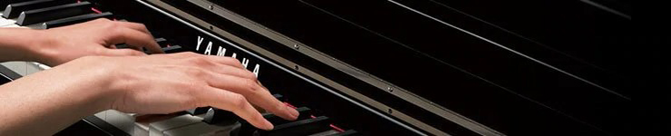 Music City – Tổng Kho Piano, Guitar, Organ | Dịch Vụ Giáo Dục Âm Nhạc