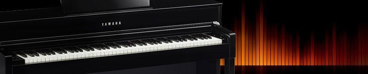 Music City – Tổng Kho Piano, Guitar, Organ | Dịch Vụ Giáo Dục Âm Nhạc
