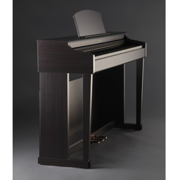Music City – Tổng Kho Piano, Guitar, Organ | Dịch Vụ Giáo Dục Âm Nhạc