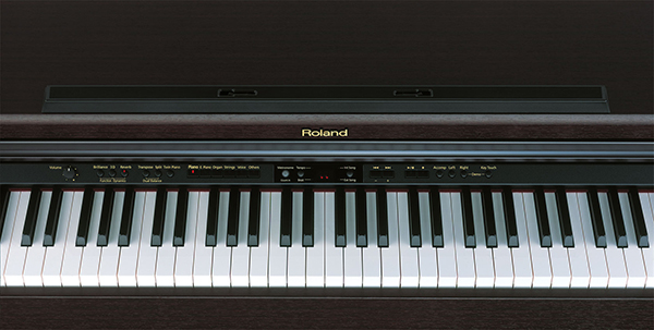 Music City – Tổng Kho Piano, Guitar, Organ | Dịch Vụ Giáo Dục Âm Nhạc