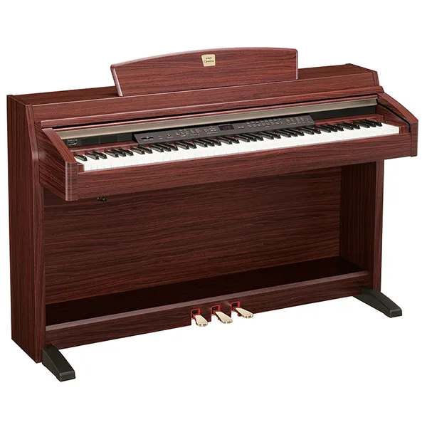 Music City – Tổng Kho Piano, Guitar, Organ | Dịch Vụ Giáo Dục Âm Nhạc