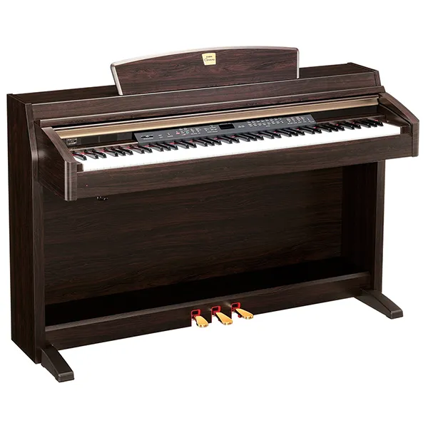 Music City – Tổng Kho Piano, Guitar, Organ | Dịch Vụ Giáo Dục Âm Nhạc