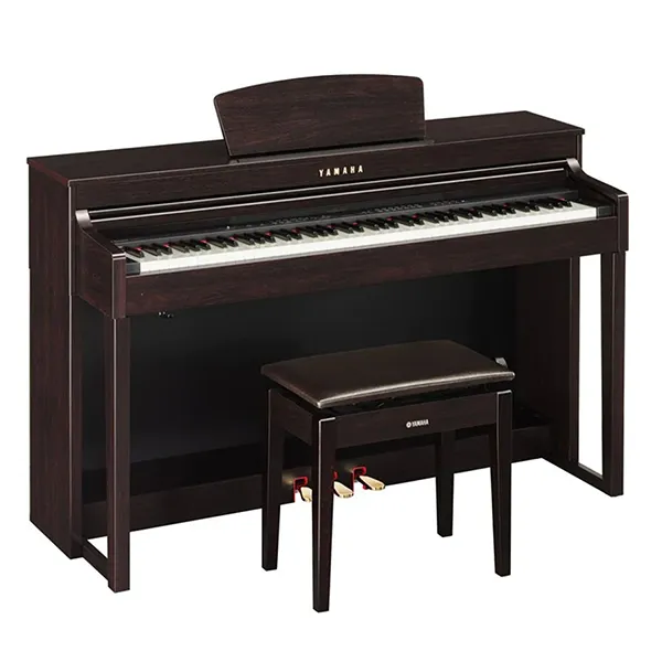 Music City – Tổng Kho Piano, Guitar, Organ | Dịch Vụ Giáo Dục Âm Nhạc