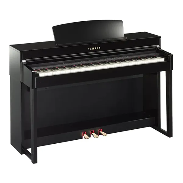Music City – Tổng Kho Piano, Guitar, Organ | Dịch Vụ Giáo Dục Âm Nhạc
