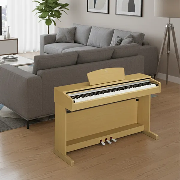 Music City – Tổng Kho Piano, Guitar, Organ | Dịch Vụ Giáo Dục Âm Nhạc