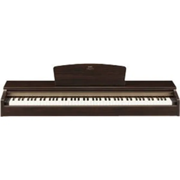 Music City – Tổng Kho Piano, Guitar, Organ | Dịch Vụ Giáo Dục Âm Nhạc