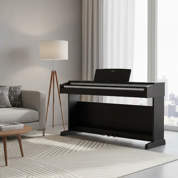 Music City – Tổng Kho Piano, Guitar, Organ | Dịch Vụ Giáo Dục Âm Nhạc