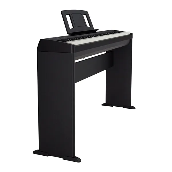 Music City – Tổng Kho Piano, Guitar, Organ | Dịch Vụ Giáo Dục Âm Nhạc