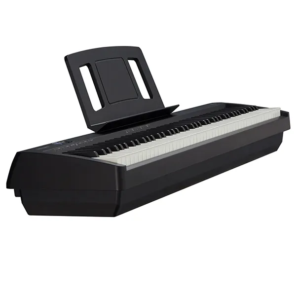 Music City – Tổng Kho Piano, Guitar, Organ | Dịch Vụ Giáo Dục Âm Nhạc