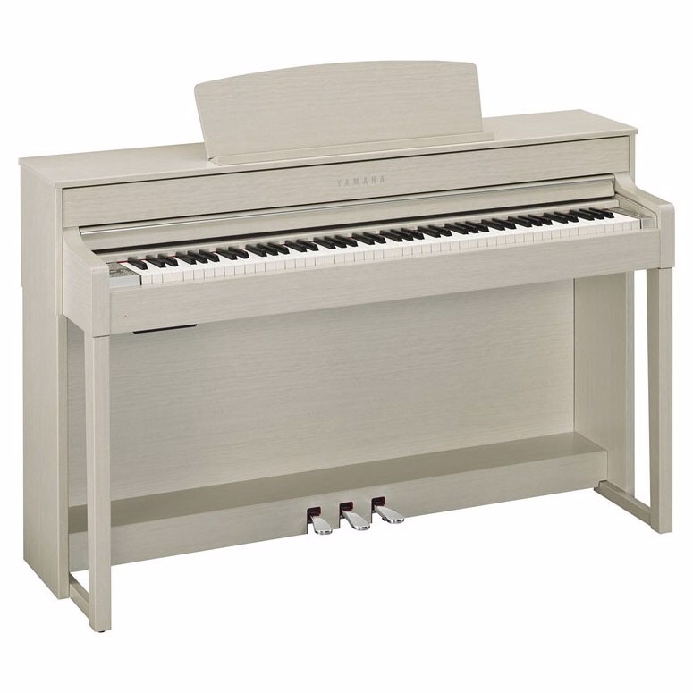 Music City – Tổng Kho Piano, Guitar, Organ | Dịch Vụ Giáo Dục Âm Nhạc