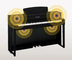 Music City – Tổng Kho Piano, Guitar, Organ | Dịch Vụ Giáo Dục Âm Nhạc