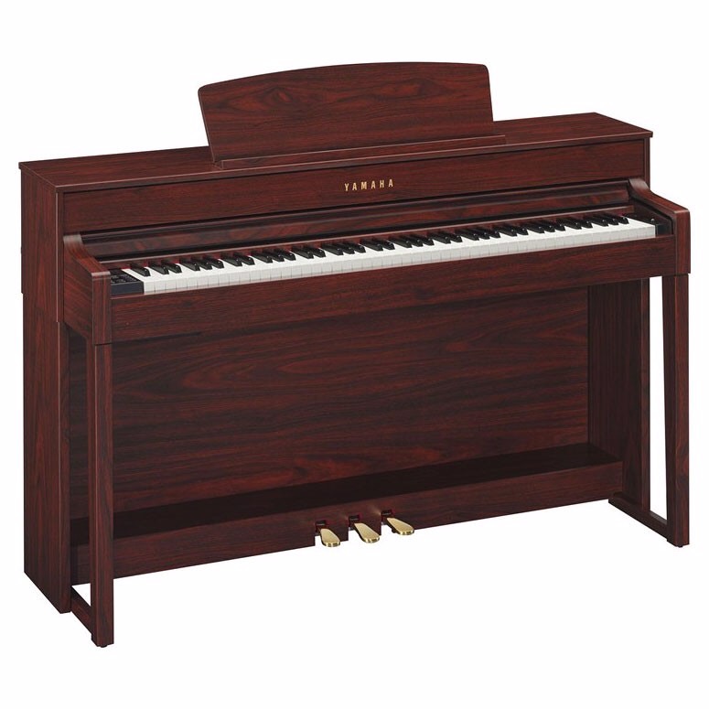 Music City – Tổng Kho Piano, Guitar, Organ | Dịch Vụ Giáo Dục Âm Nhạc