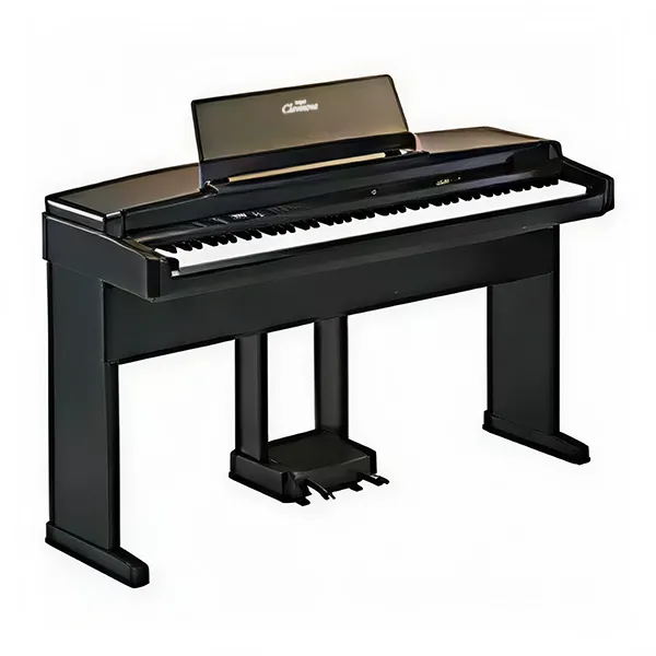 Music City – Tổng Kho Piano, Guitar, Organ | Dịch Vụ Giáo Dục Âm Nhạc