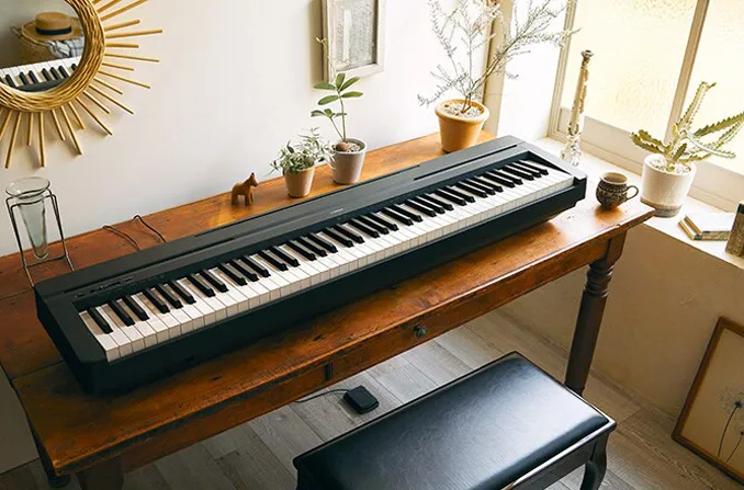 Music City – Tổng Kho Piano, Guitar, Organ | Dịch Vụ Giáo Dục Âm Nhạc