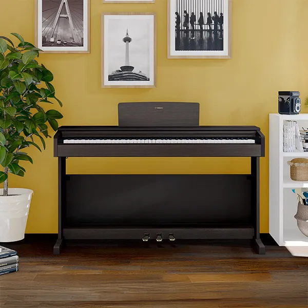 Music City – Tổng Kho Piano, Guitar, Organ | Dịch Vụ Giáo Dục Âm Nhạc