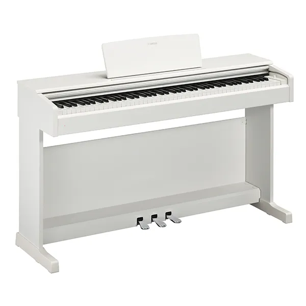 Music City – Tổng Kho Piano, Guitar, Organ | Dịch Vụ Giáo Dục Âm Nhạc