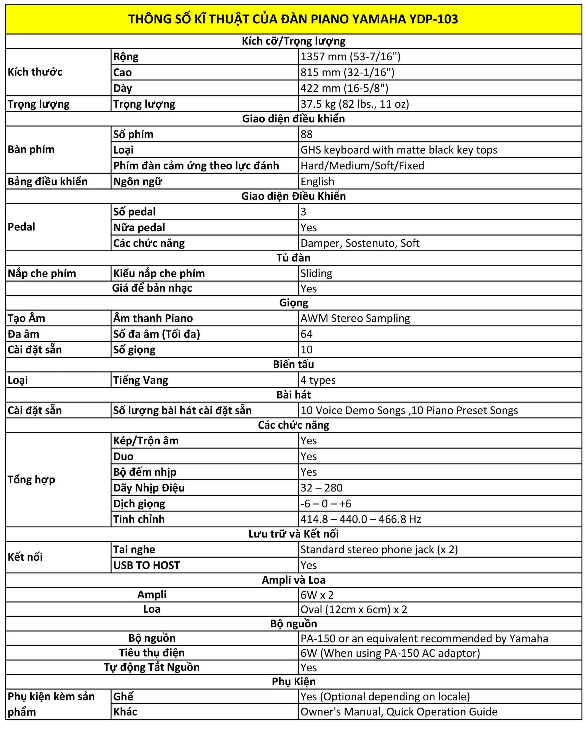 Music City – Tổng Kho Piano, Guitar, Organ | Dịch Vụ Giáo Dục Âm Nhạc