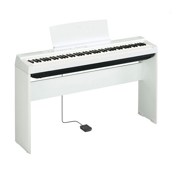Music City – Tổng Kho Piano, Guitar, Organ | Dịch Vụ Giáo Dục Âm Nhạc