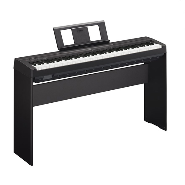 Music City – Tổng Kho Piano, Guitar, Organ | Dịch Vụ Giáo Dục Âm Nhạc