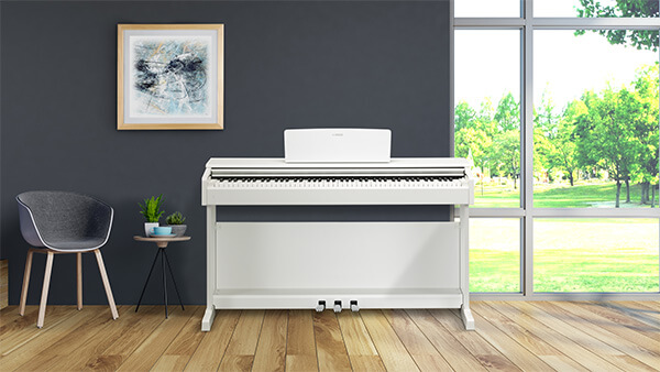Music City – Tổng Kho Piano, Guitar, Organ | Dịch Vụ Giáo Dục Âm Nhạc