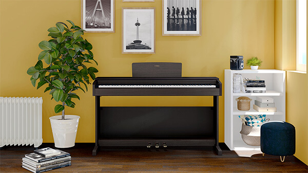 Music City – Tổng Kho Piano, Guitar, Organ | Dịch Vụ Giáo Dục Âm Nhạc