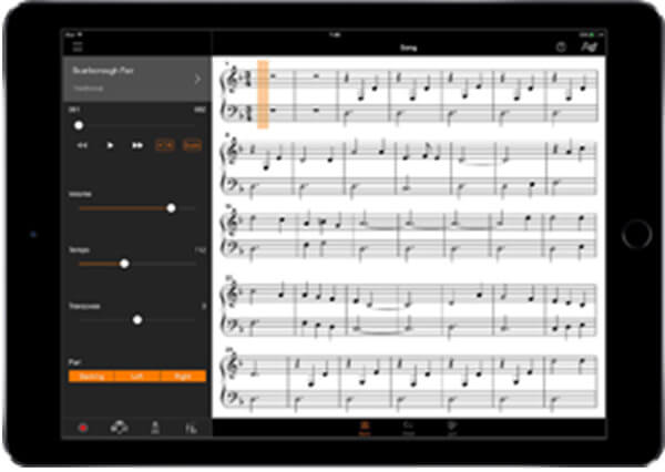 Music City – Tổng Kho Piano, Guitar, Organ | Dịch Vụ Giáo Dục Âm Nhạc