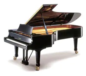 Music City – Tổng Kho Piano, Guitar, Organ | Dịch Vụ Giáo Dục Âm Nhạc