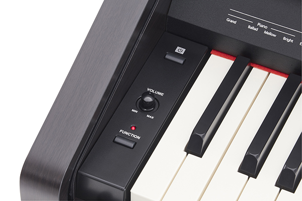 Music City – Tổng Kho Piano, Guitar, Organ | Dịch Vụ Giáo Dục Âm Nhạc