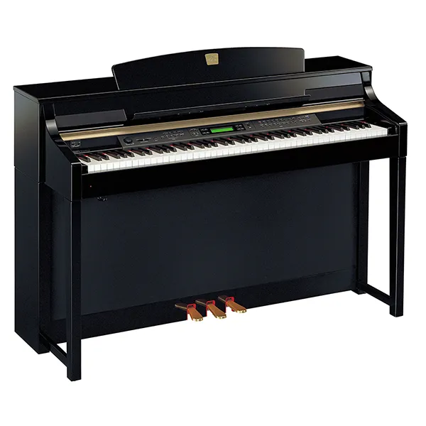 Music City – Tổng Kho Piano, Guitar, Organ | Dịch Vụ Giáo Dục Âm Nhạc
