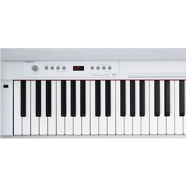 Music City – Tổng Kho Piano, Guitar, Organ | Dịch Vụ Giáo Dục Âm Nhạc