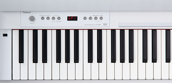 Music City – Tổng Kho Piano, Guitar, Organ | Dịch Vụ Giáo Dục Âm Nhạc