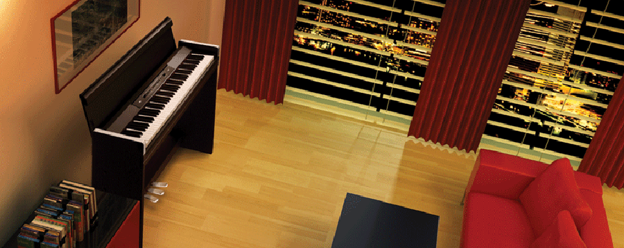 Music City – Tổng Kho Piano, Guitar, Organ | Dịch Vụ Giáo Dục Âm Nhạc